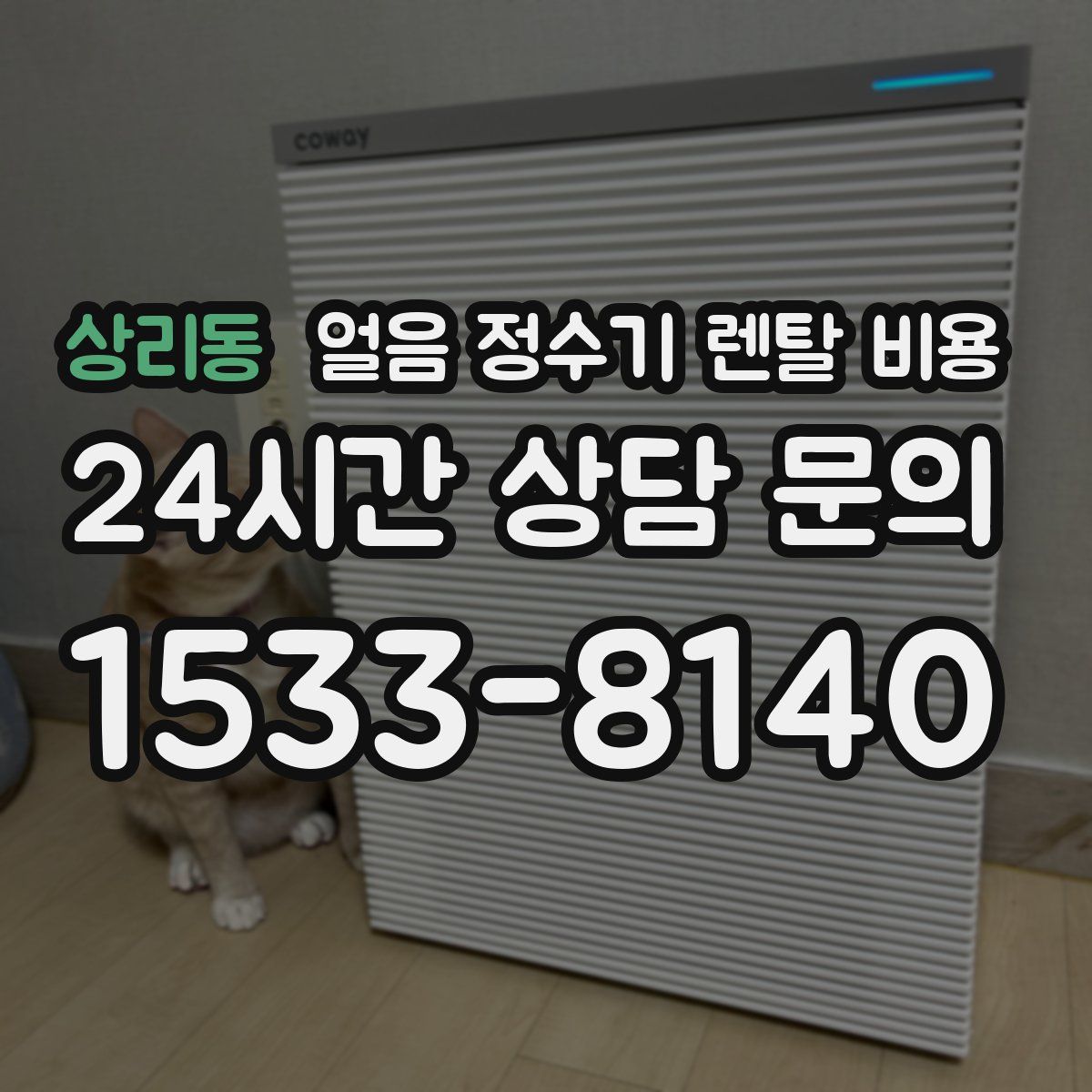 상리동 얼음 정수기 렌탈 비용