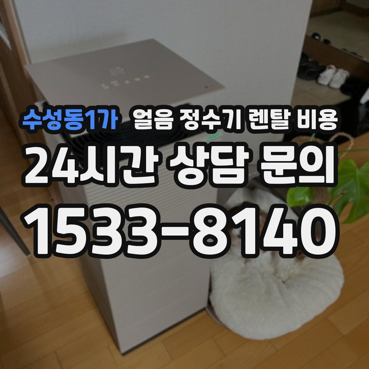 수성동1가 얼음 정수기 렌탈 비용