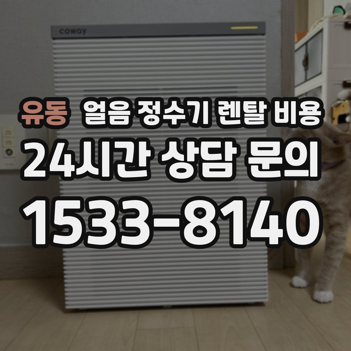 유동 얼음 정수기 렌탈 비용