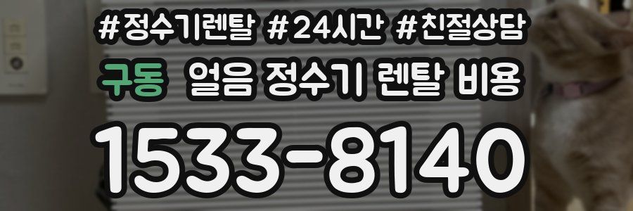 구동 얼음 정수기 렌탈 비용