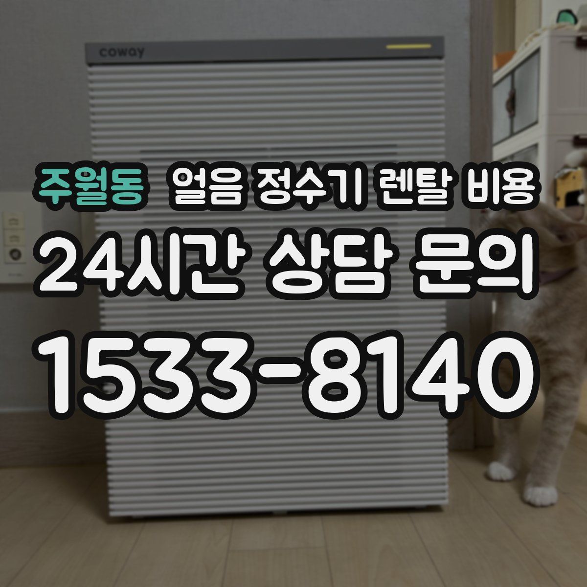 주월동 얼음 정수기 렌탈 비용