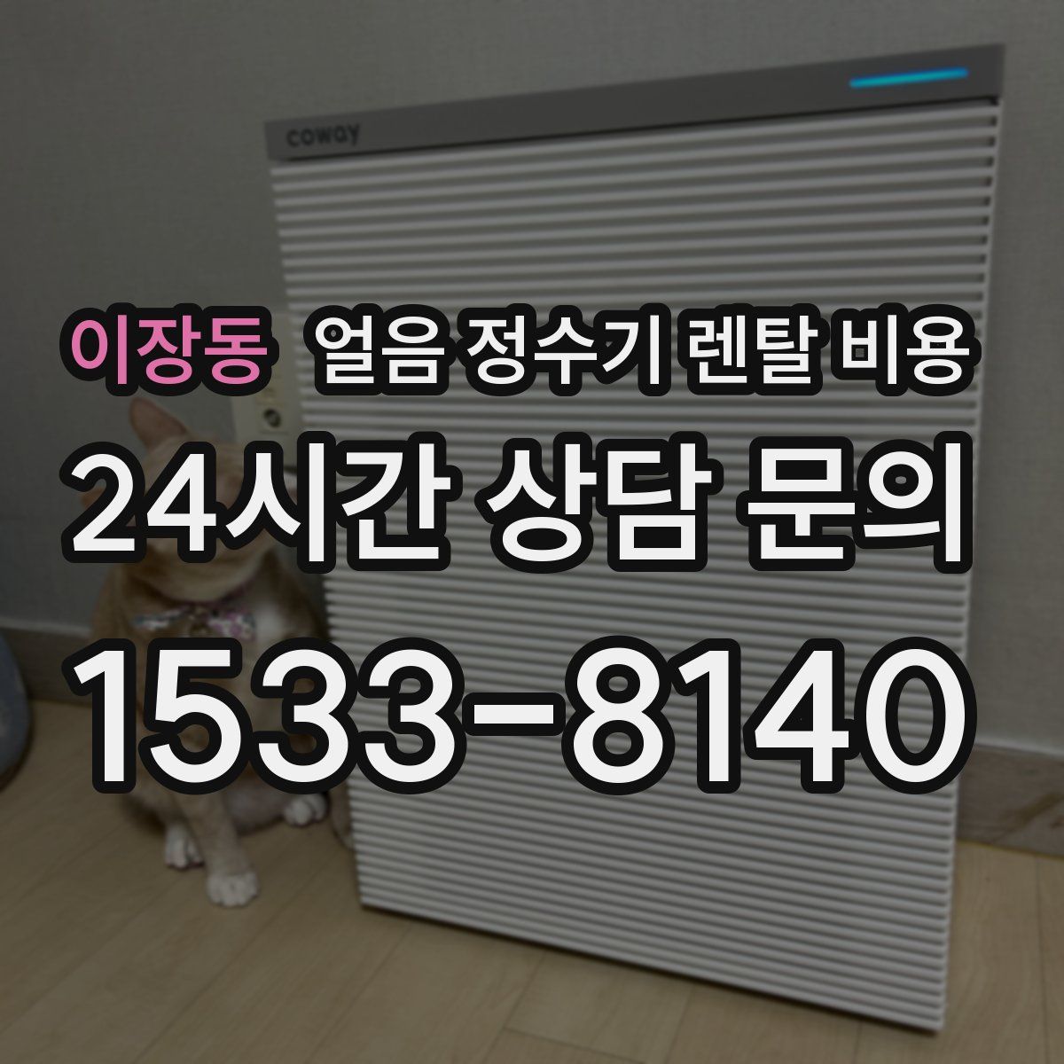 이장동 얼음 정수기 렌탈 비용