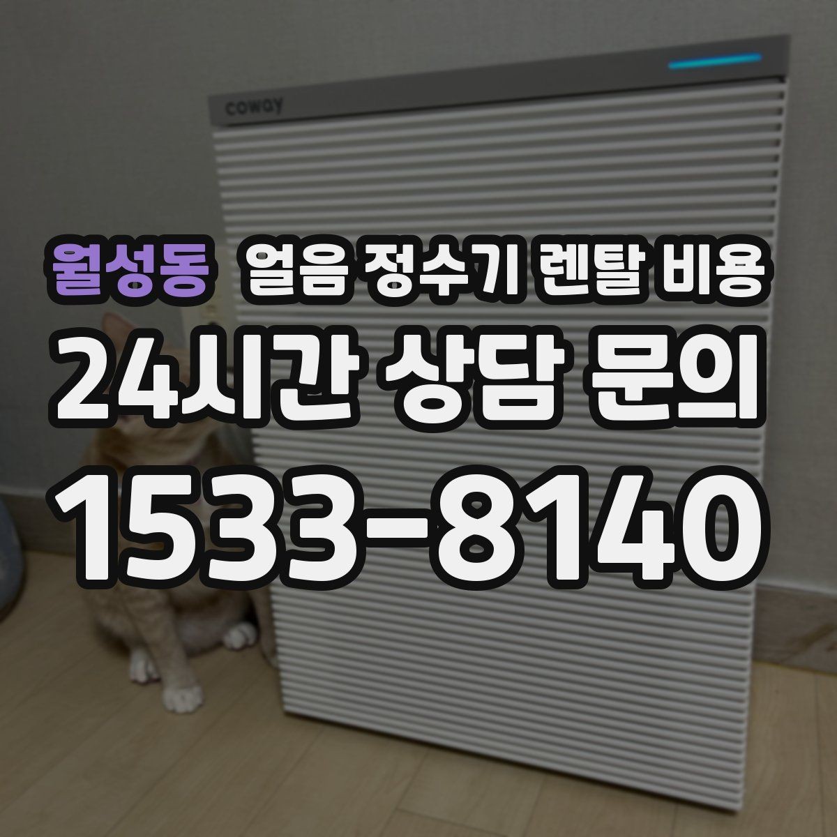 월성동 얼음 정수기 렌탈 비용 실제로 도움 되는 비교 방법
