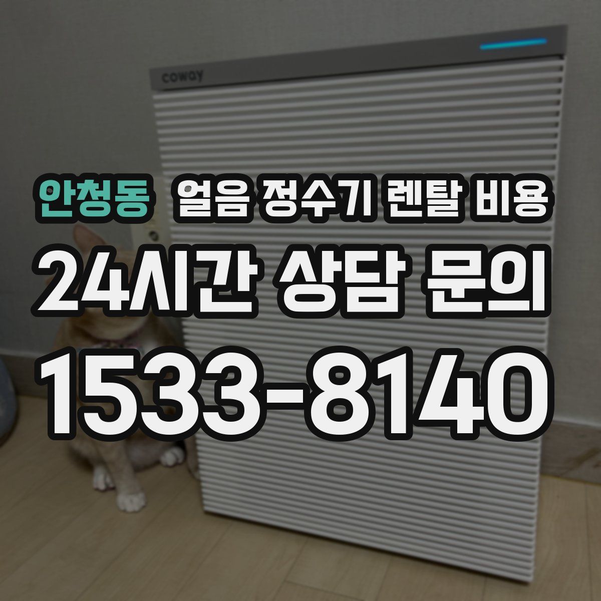 안청동 얼음 정수기 렌탈 비용