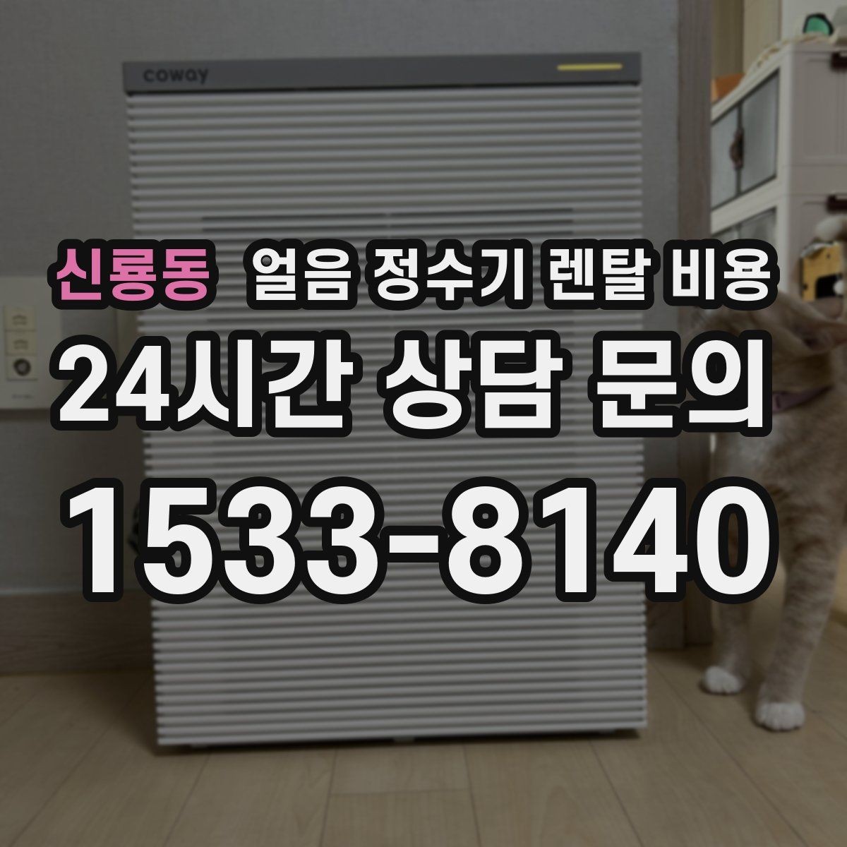 신룡동 얼음 정수기 렌탈 비용 필터 비용 포함 여부 확인 방법