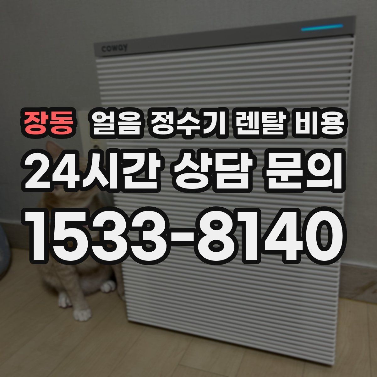 장동 얼음 정수기 렌탈 비용 카페처럼 사용하는 집의 선택 포인트
