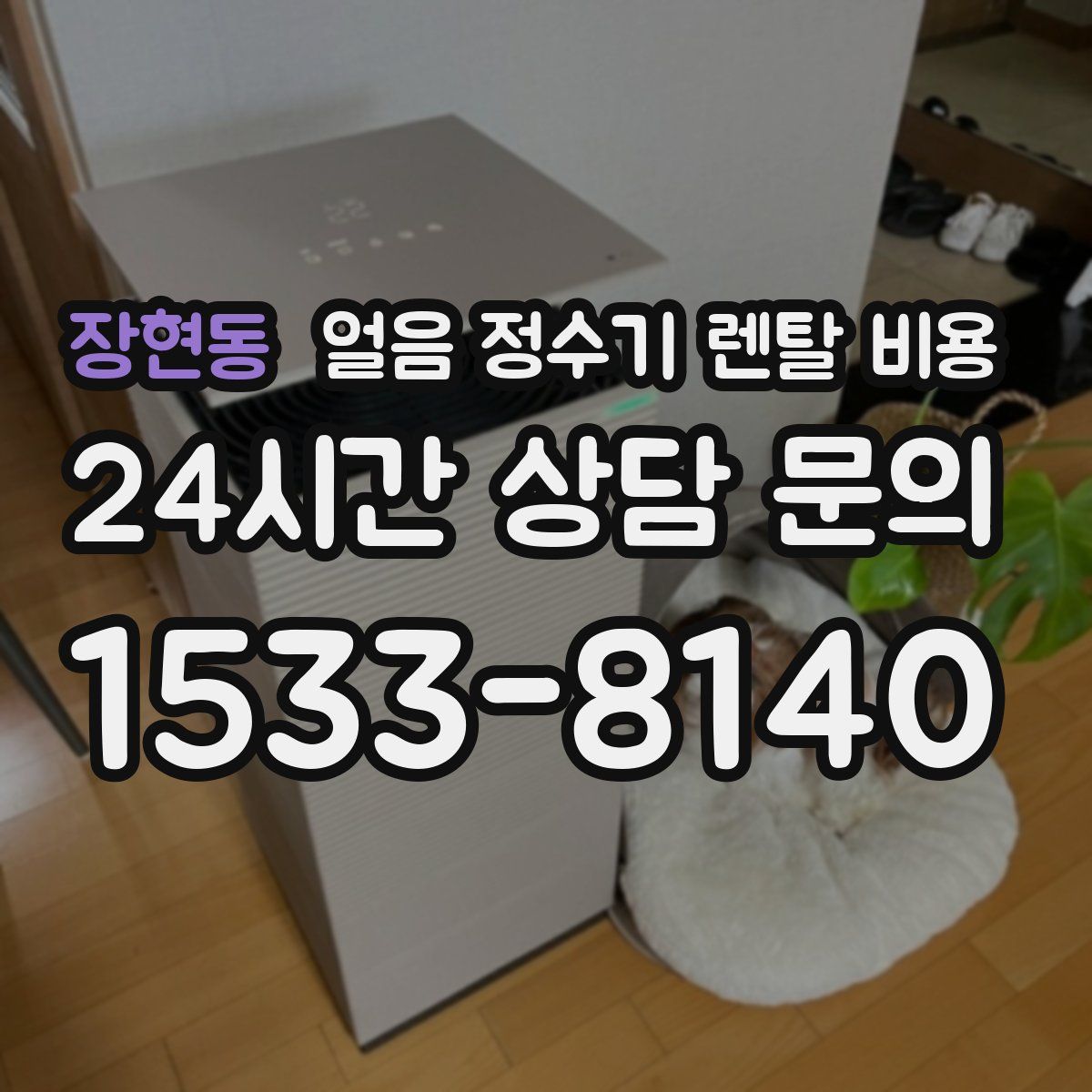 장현동 얼음 정수기 렌탈 비용