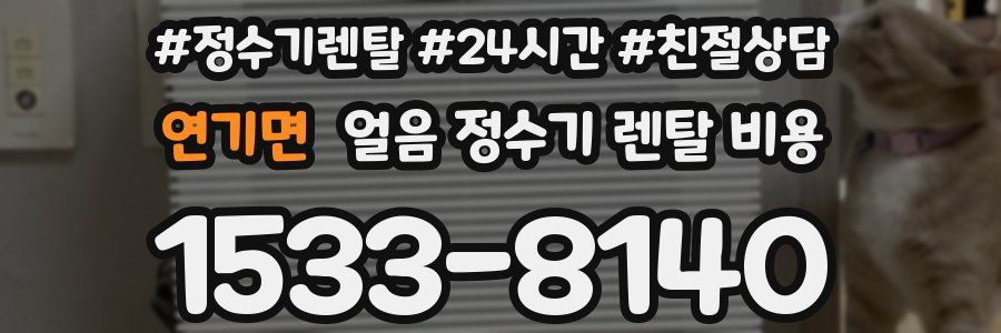 연기면 얼음 정수기 렌탈 비용