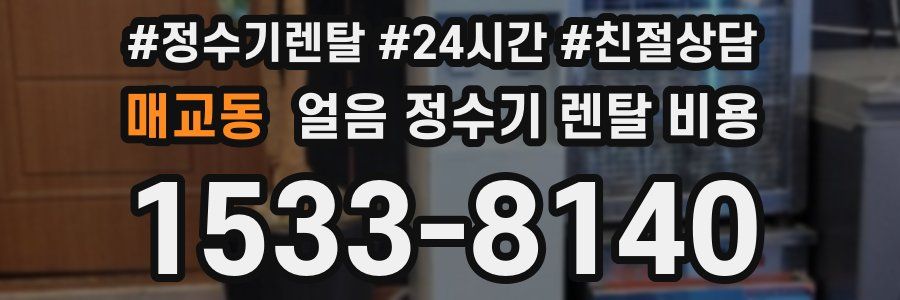 매교동 얼음 정수기 렌탈 비용