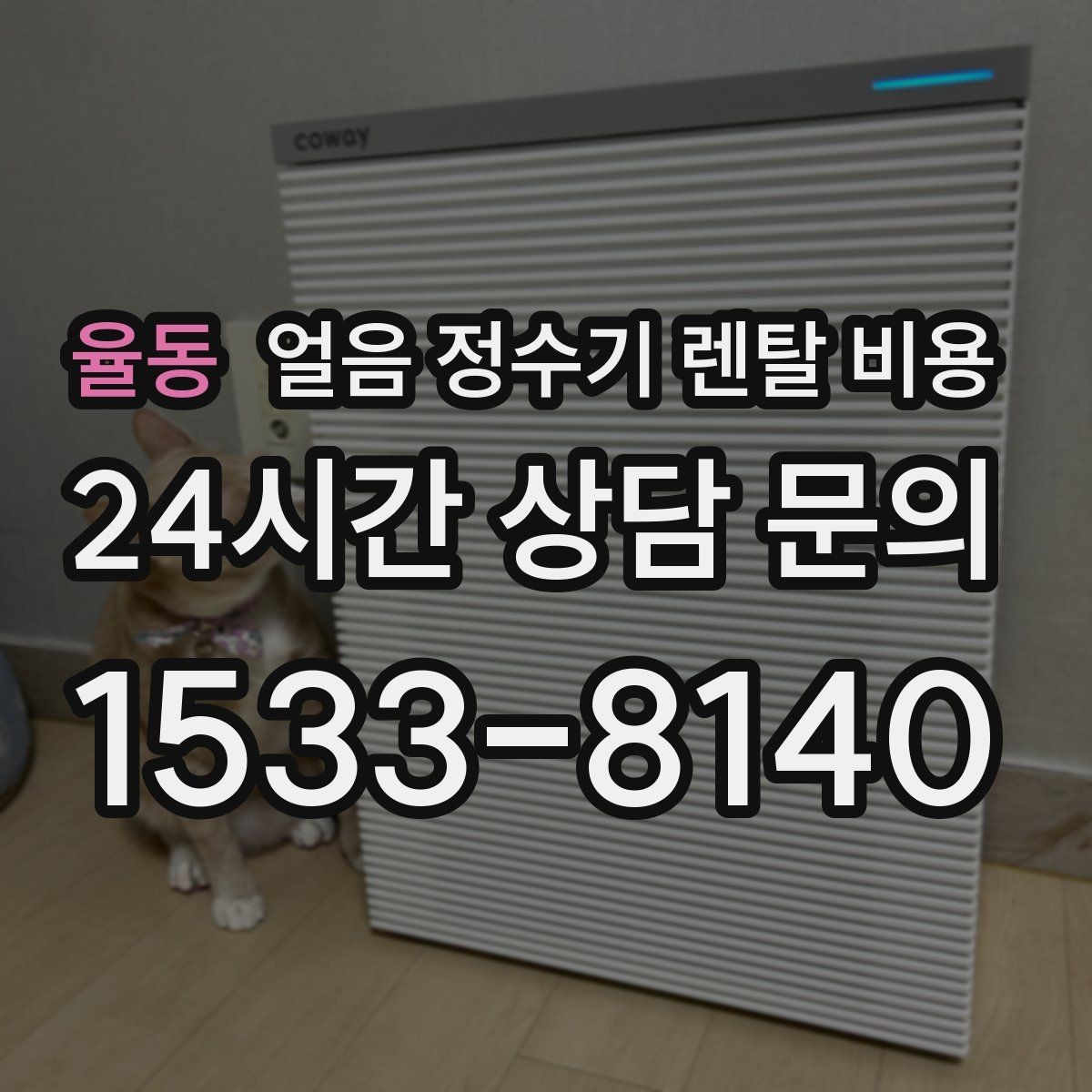 율동 얼음 정수기 렌탈 비용 약정이 길수록 유리한지 따져보기