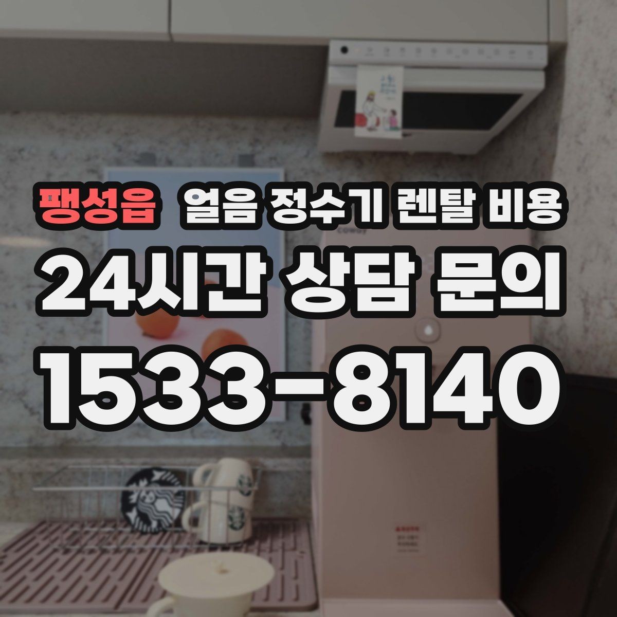 팽성읍 얼음 정수기 렌탈 비용 위생 민감한 집의 선택 기준