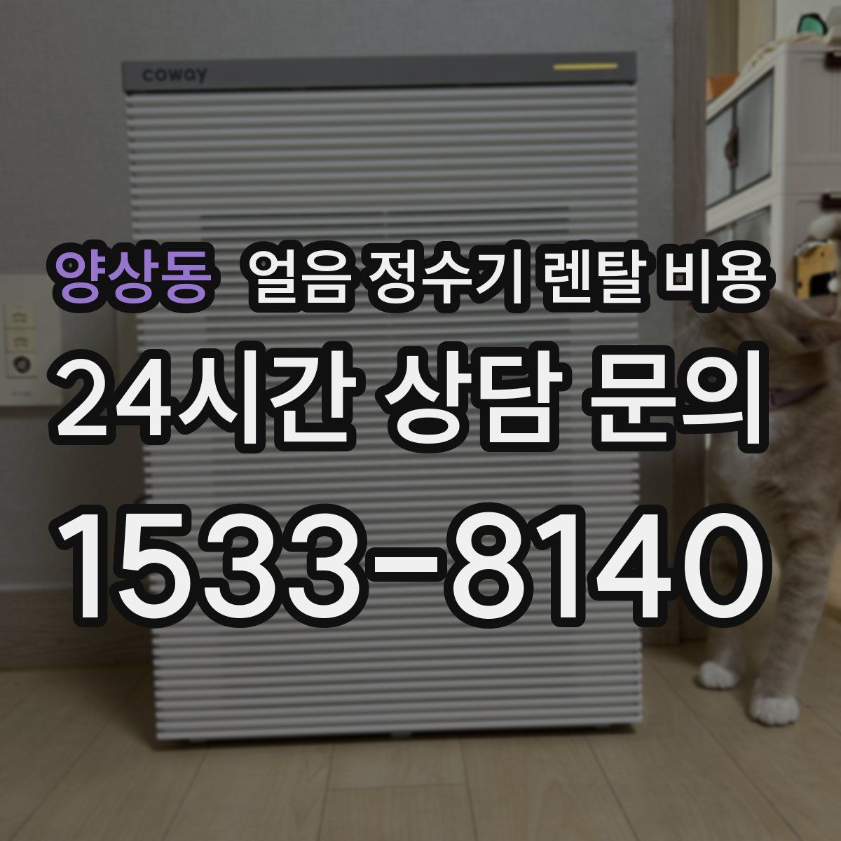 양상동 얼음 정수기 렌탈 비용