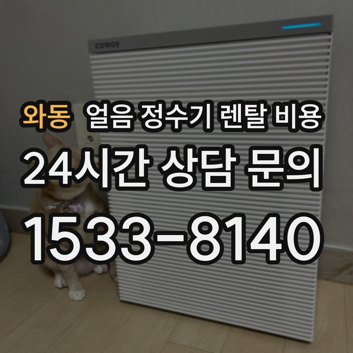와동 얼음 정수기 렌탈 비용 유지비까지 포함해 보는 방법