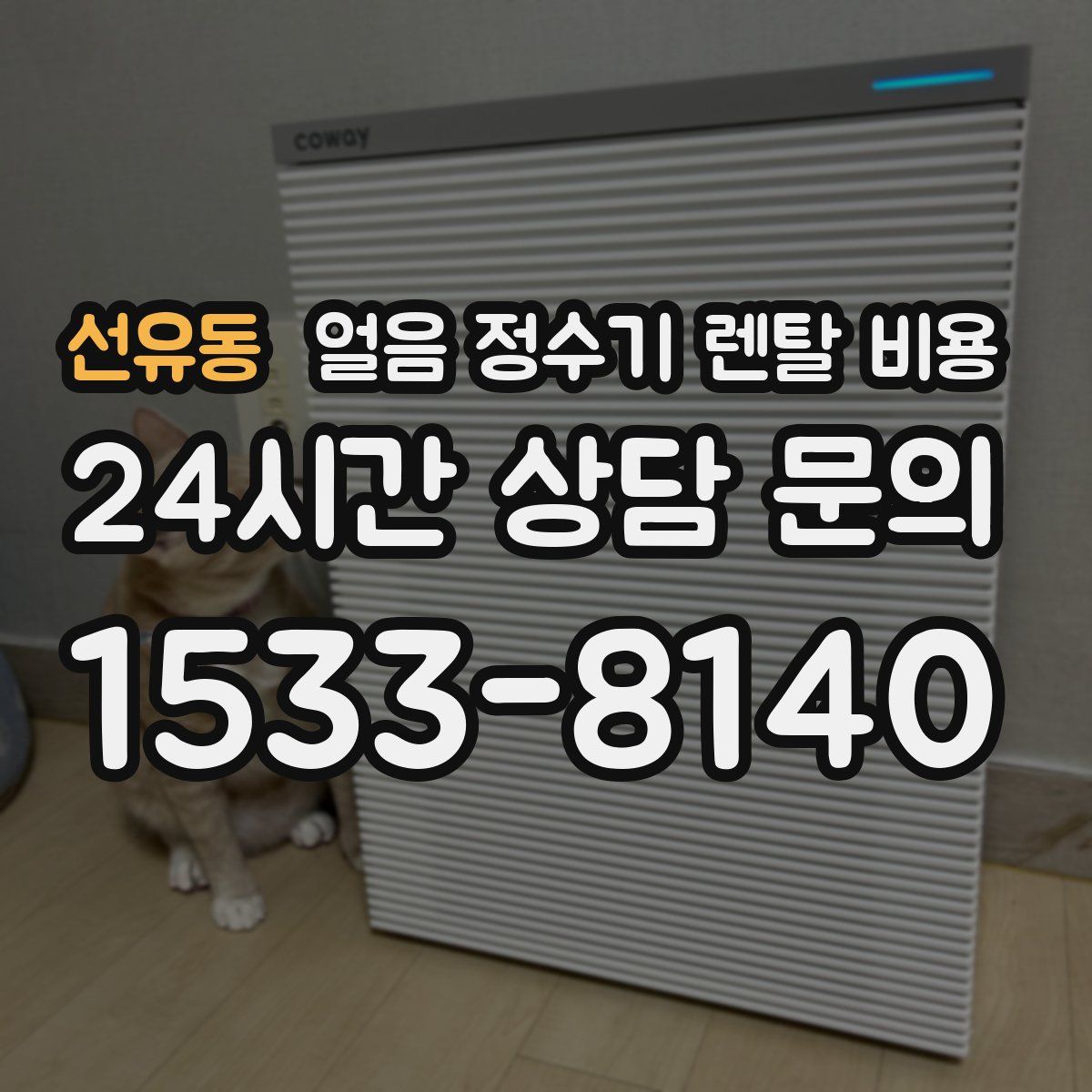 선유동 얼음 정수기 렌탈 비용