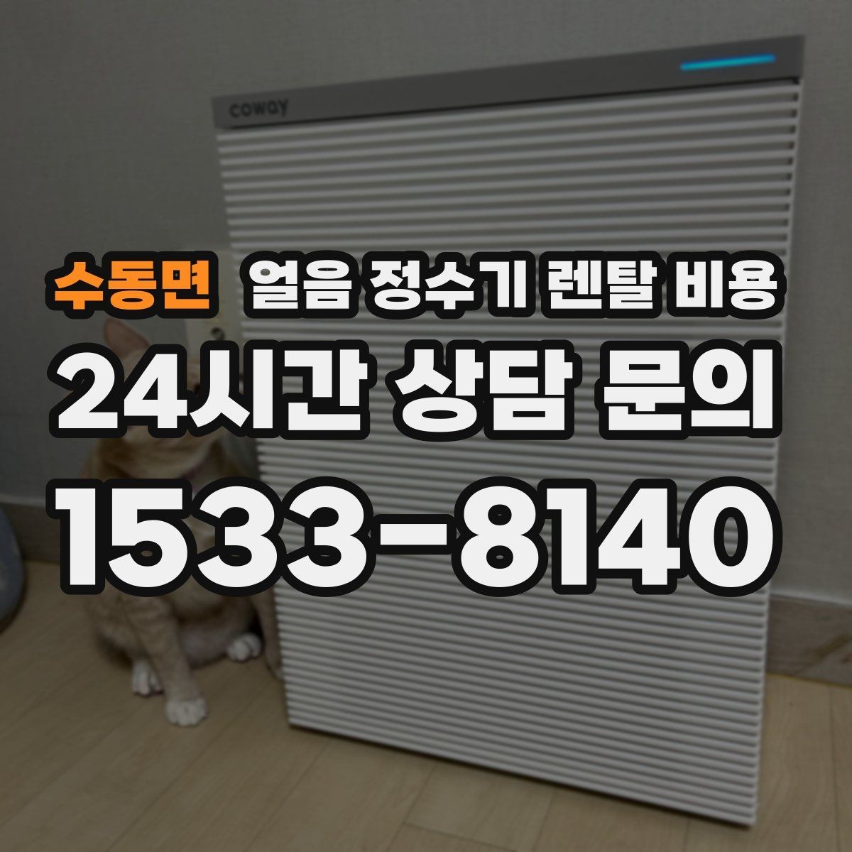 수동면 얼음 정수기 렌탈 비용 비용 대비 만족도를 높이는 방법