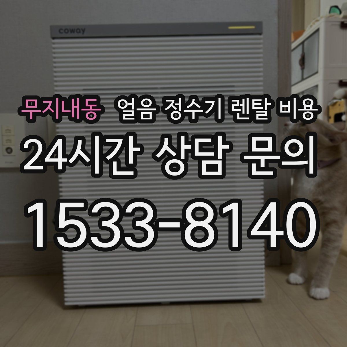 무지내동 얼음 정수기 렌탈 비용 얼음 기능이 꼭 필요한지 판단하는 방법