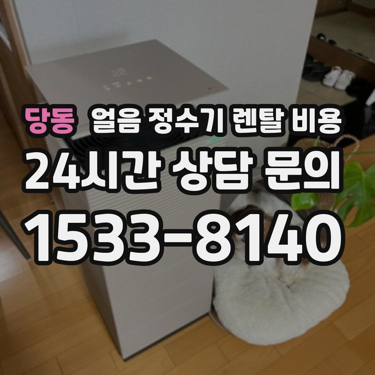 당동 얼음 정수기 렌탈 비용