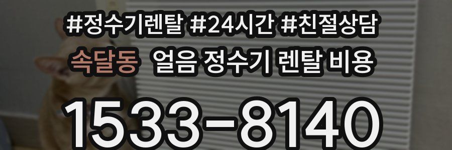 속달동 얼음 정수기 렌탈 비용