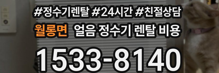 월롱면 얼음 정수기 렌탈 비용