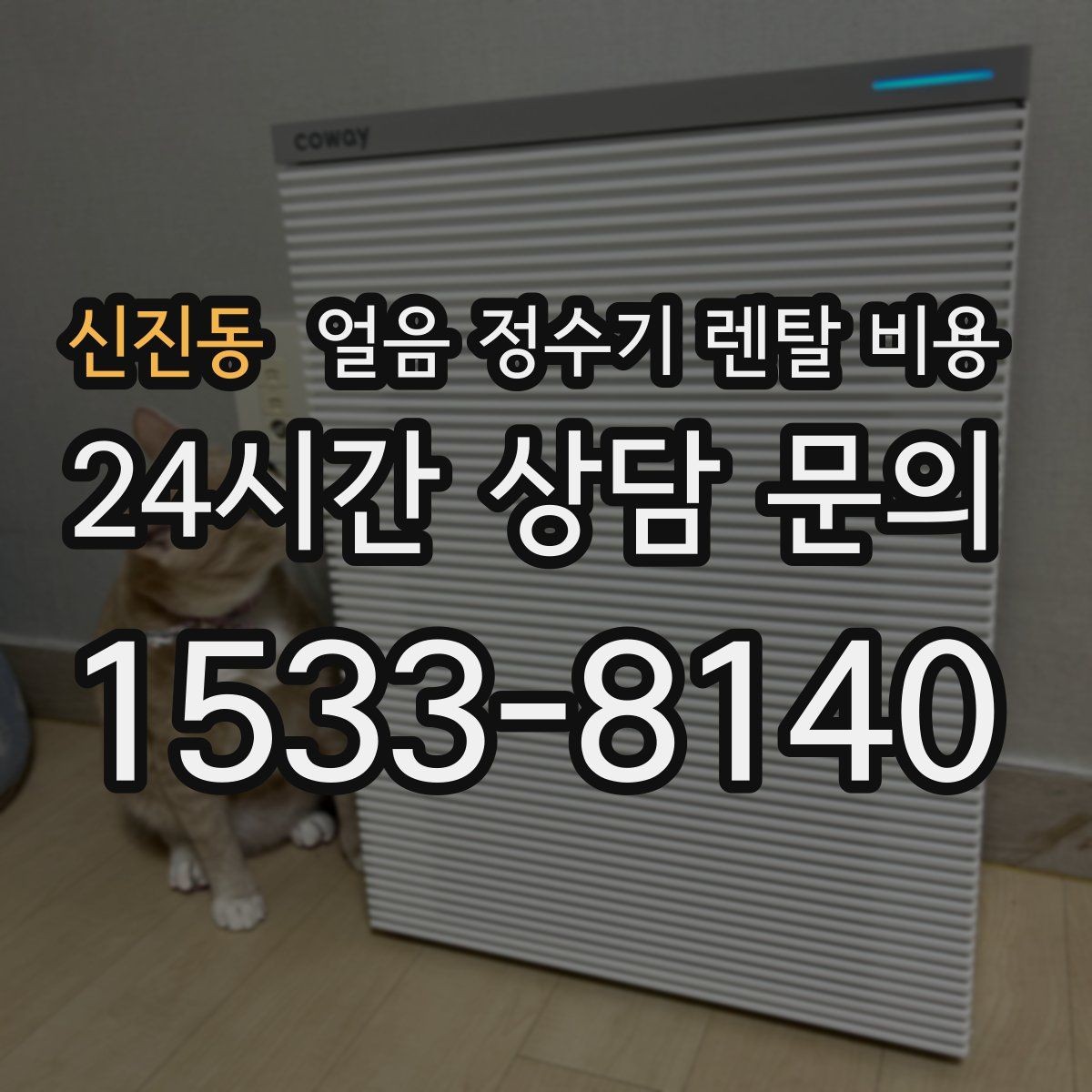 신진동 얼음 정수기 렌탈 비용 얼음 사용량으로 고르는 기준