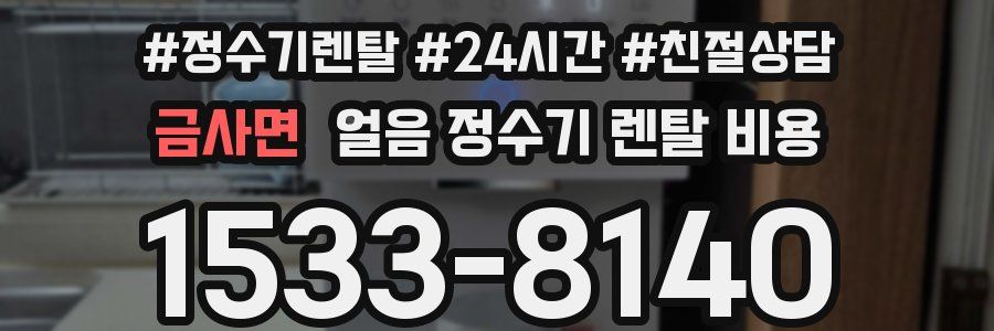 금사면 얼음 정수기 렌탈 비용