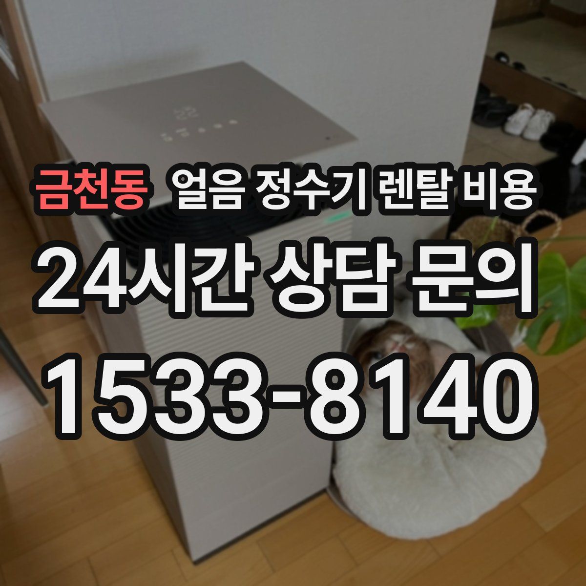 금천동 얼음 정수기 렌탈 비용