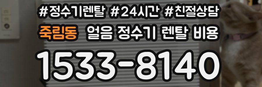 죽림동 얼음 정수기 렌탈 비용