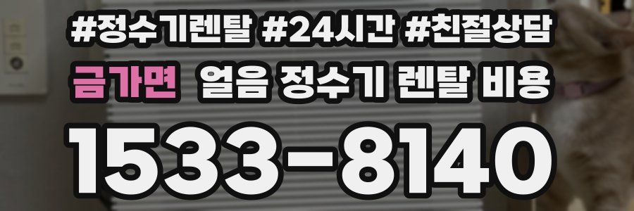 금가면 얼음 정수기 렌탈 비용