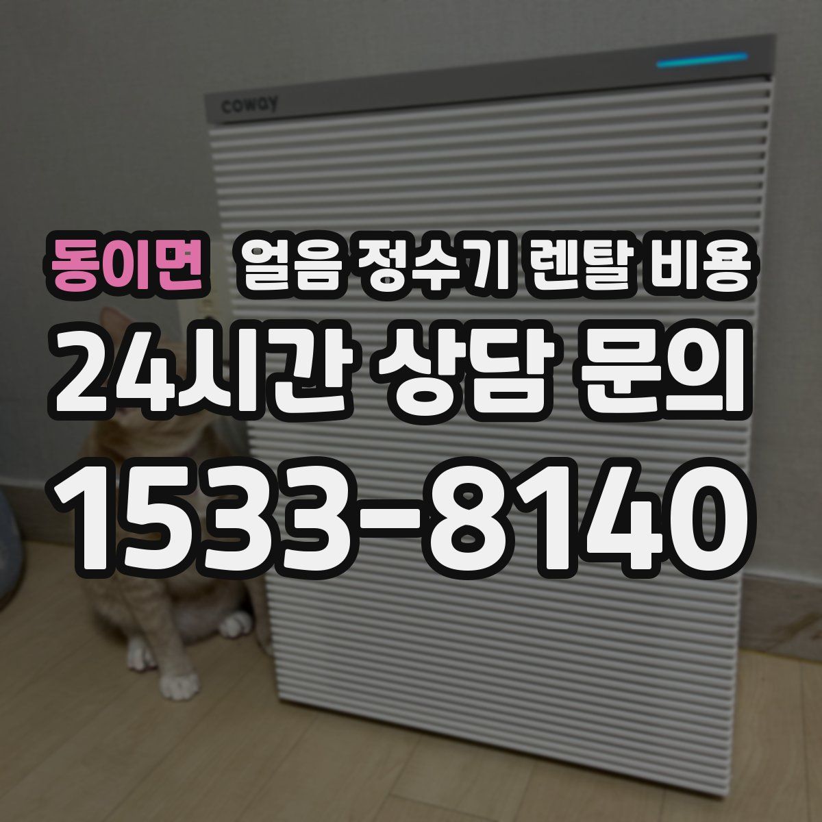 동이면 얼음 정수기 렌탈 비용