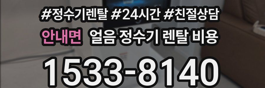 안내면 얼음 정수기 렌탈 비용