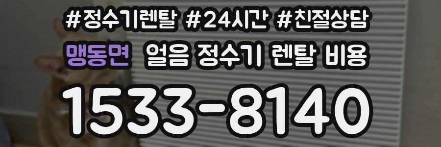 맹동면 얼음 정수기 렌탈 비용