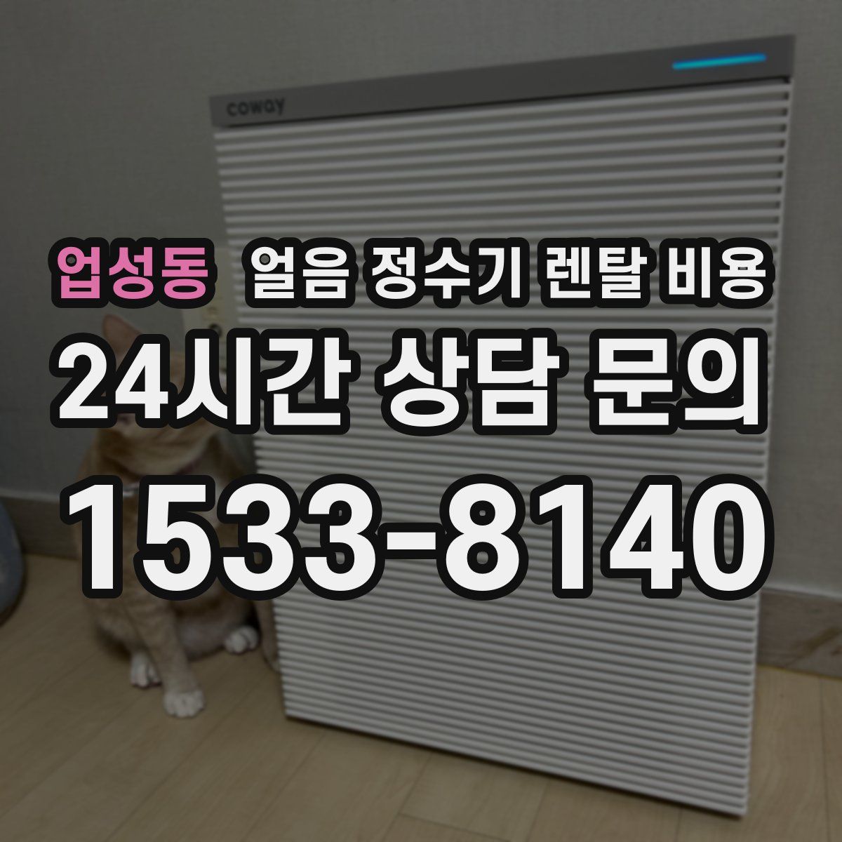 업성동 얼음 정수기 렌탈 비용