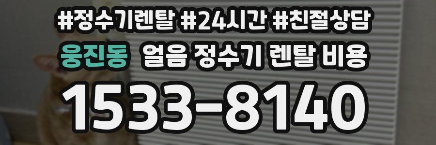 웅진동 얼음 정수기 렌탈 비용