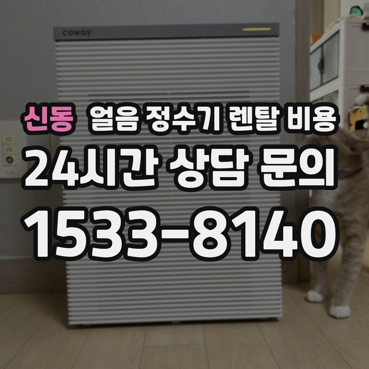 신동 얼음 정수기 렌탈 비용