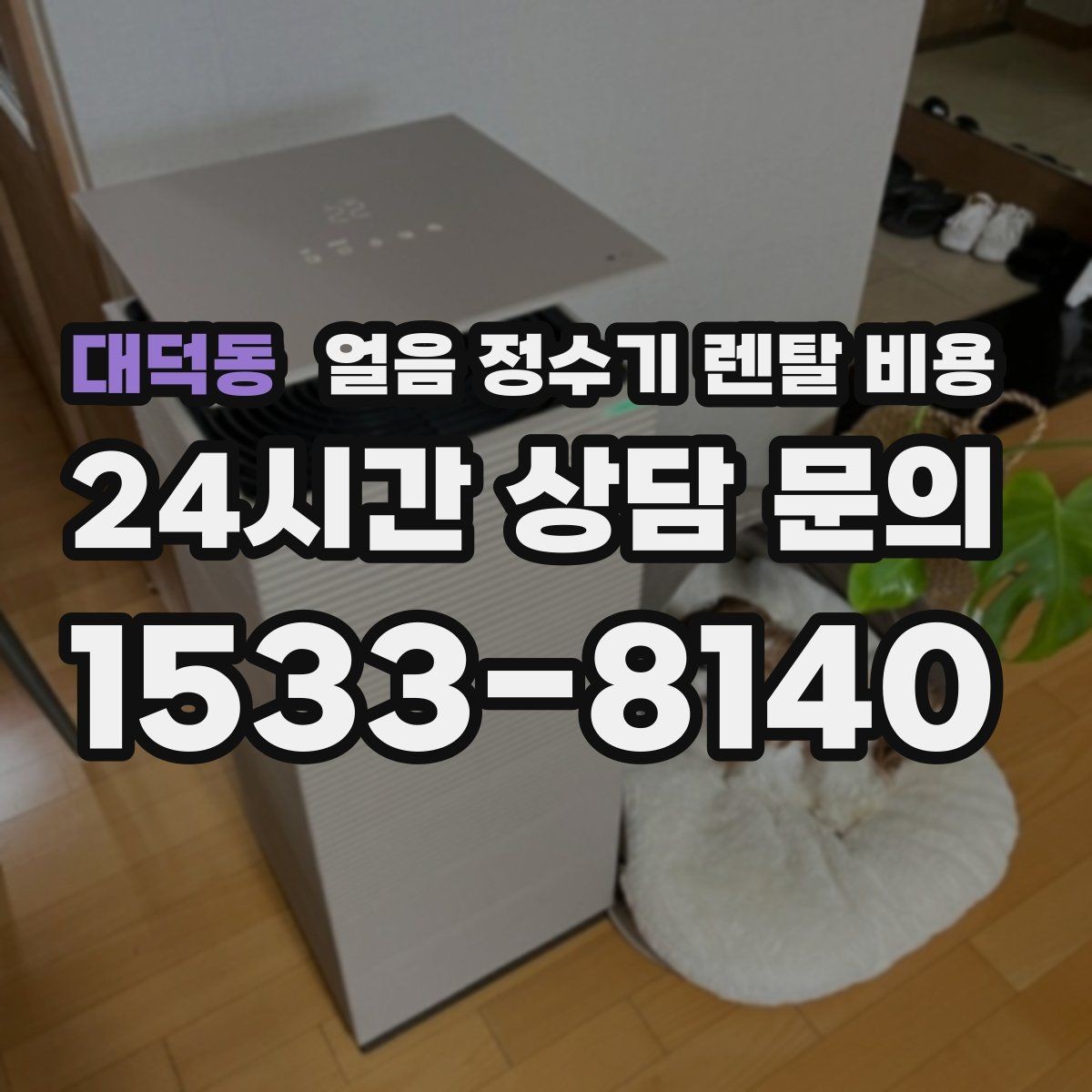 대덕동 얼음 정수기 렌탈 비용 코크 관리까지 따져야 하는 이유