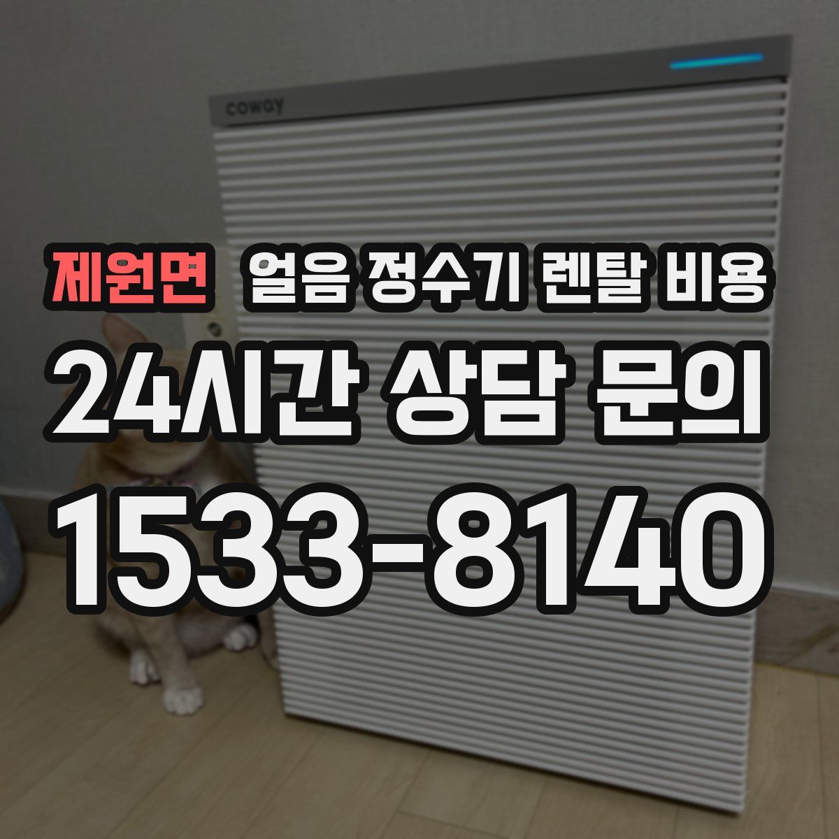 제원면 얼음 정수기 렌탈 비용