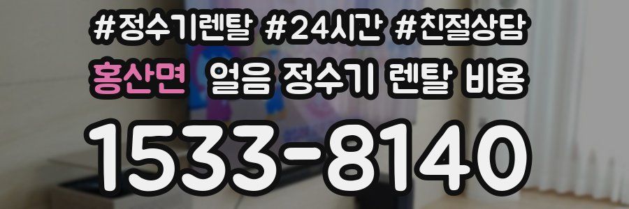 홍산면 얼음 정수기 렌탈 비용