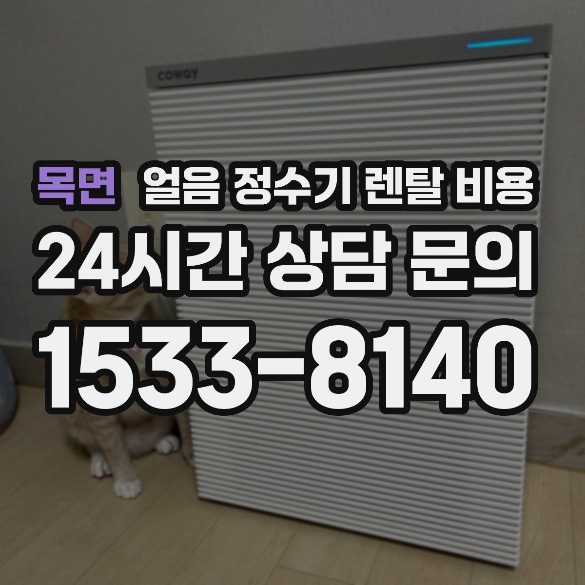 목면 얼음 정수기 렌탈 비용