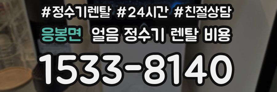응봉면 얼음 정수기 렌탈 비용