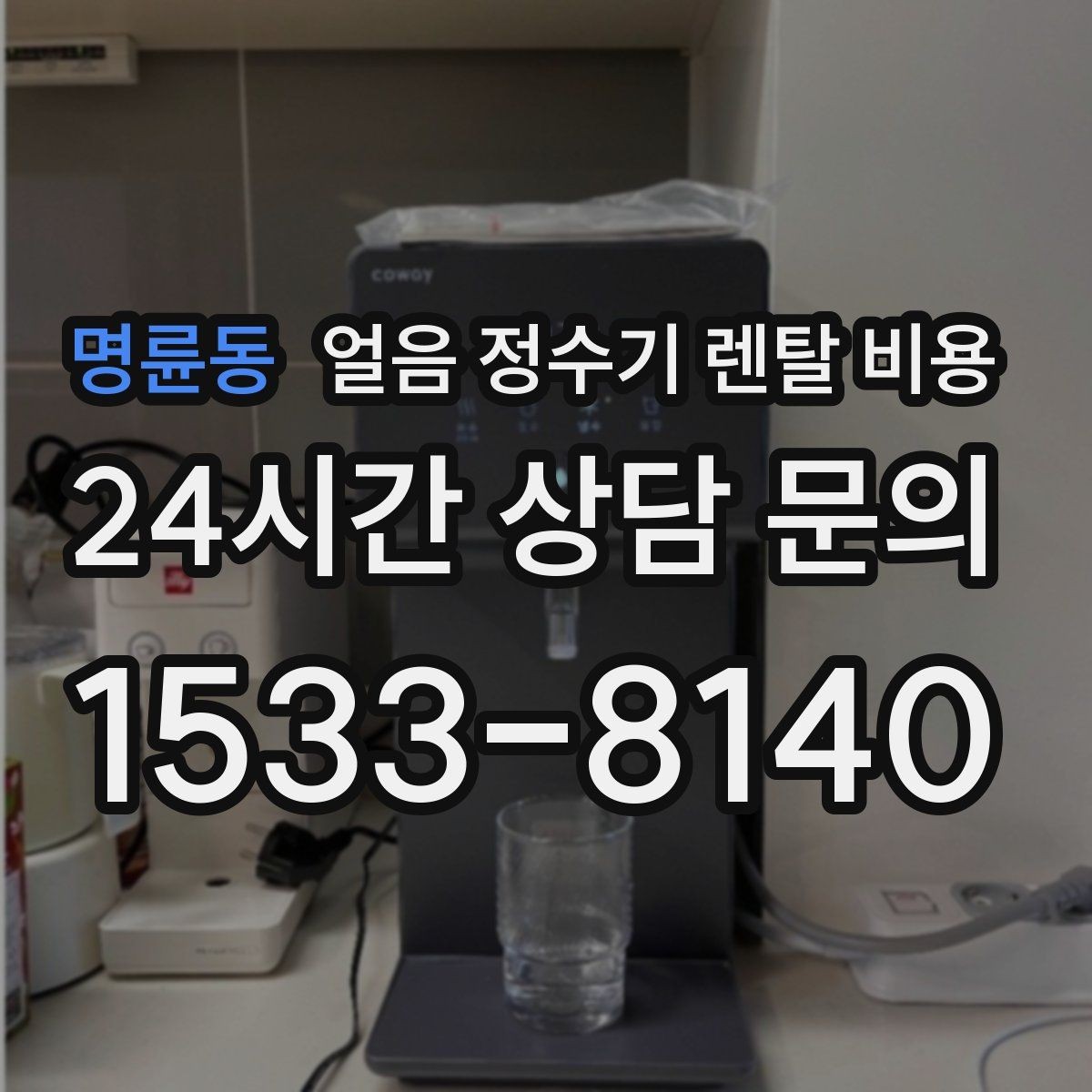 명륜동 얼음 정수기 렌탈 비용 얼음 기능이 중요한 집의 특징