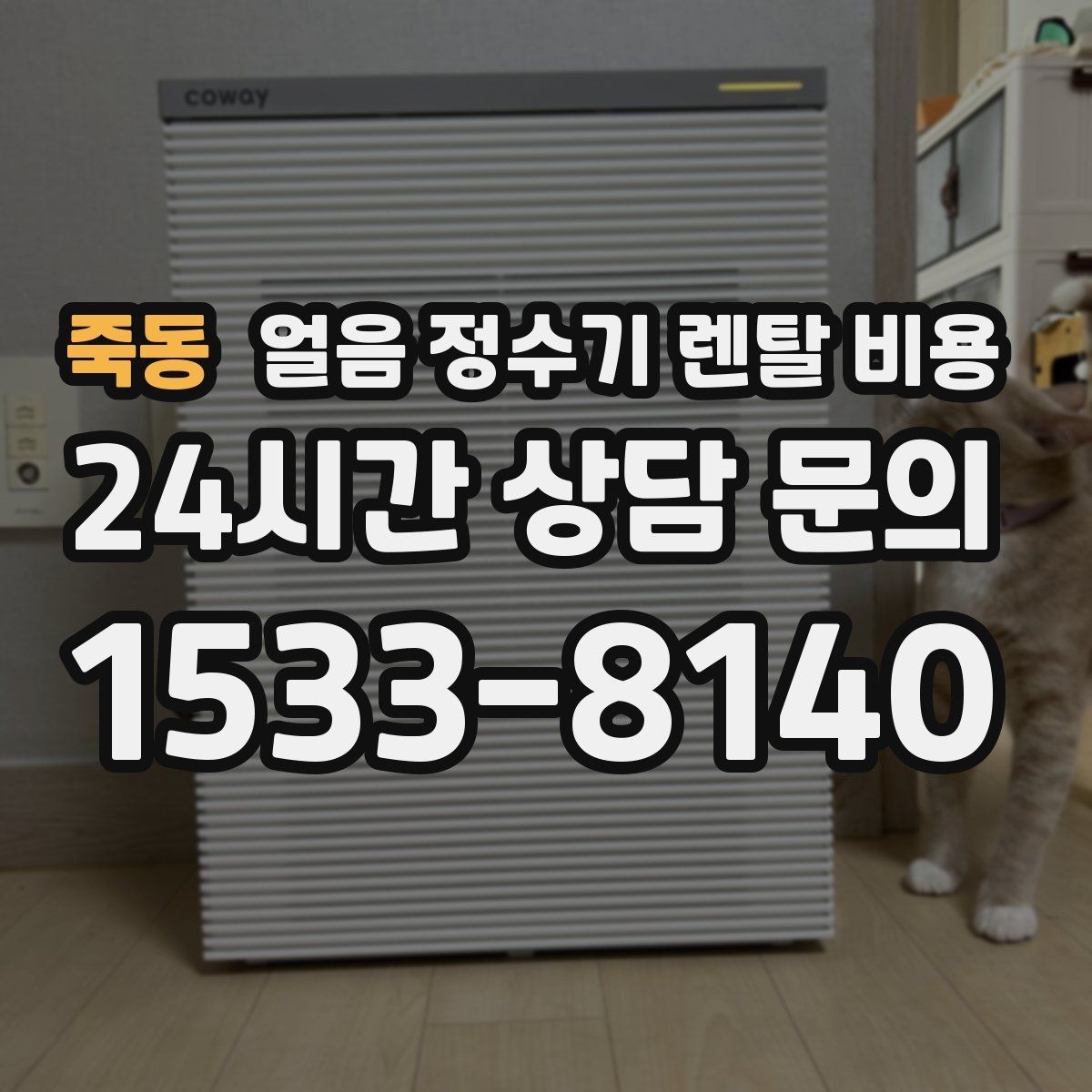 죽동 얼음 정수기 렌탈 비용 재계약 시 유리한 조건 찾기