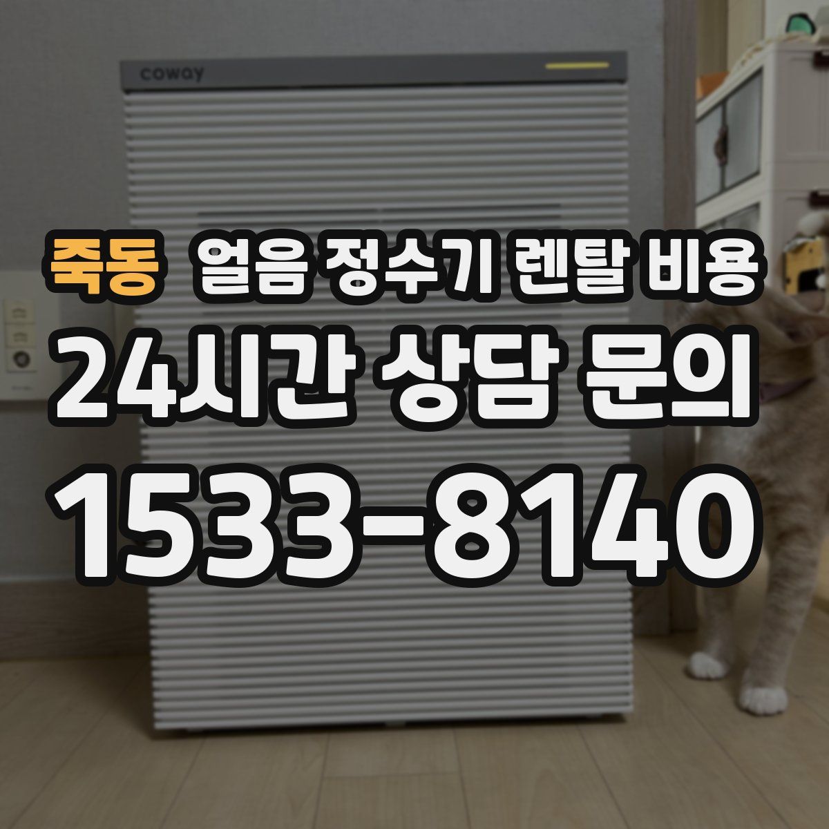 죽동 얼음 정수기 렌탈 비용