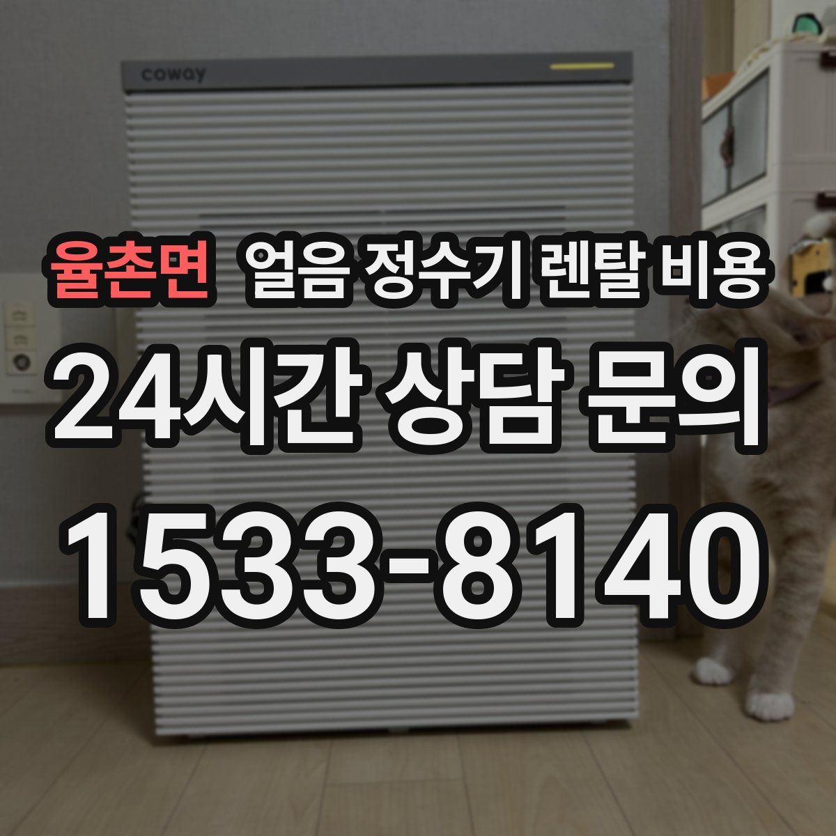 율촌면 얼음 정수기 렌탈 비용