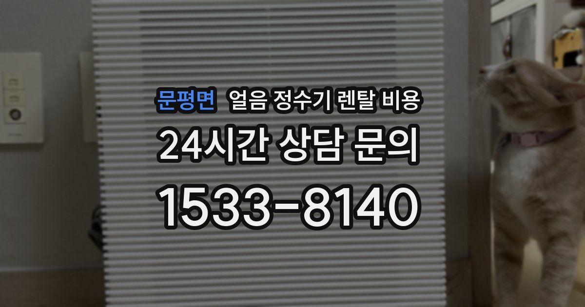 문평면 얼음 정수기 렌탈 비용