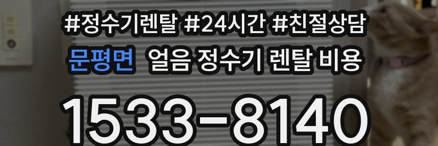 문평면 얼음 정수기 렌탈 비용
