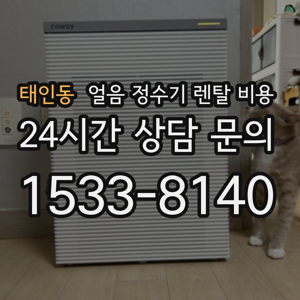 태인동 얼음 정수기 렌탈 비용