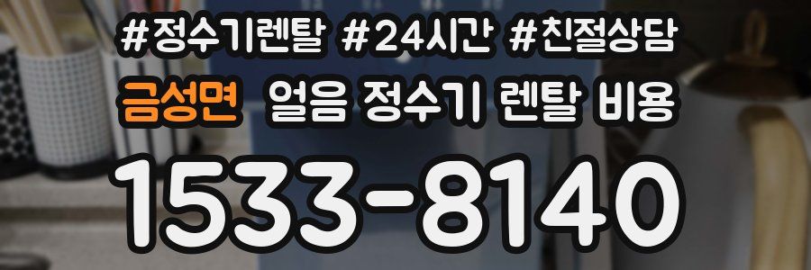 금성면 얼음 정수기 렌탈 비용