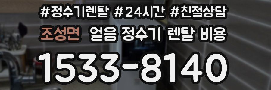 조성면 얼음 정수기 렌탈 비용