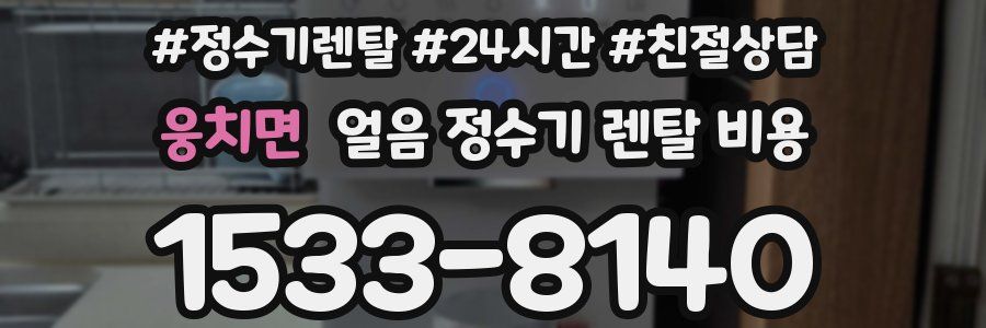 웅치면 얼음 정수기 렌탈 비용