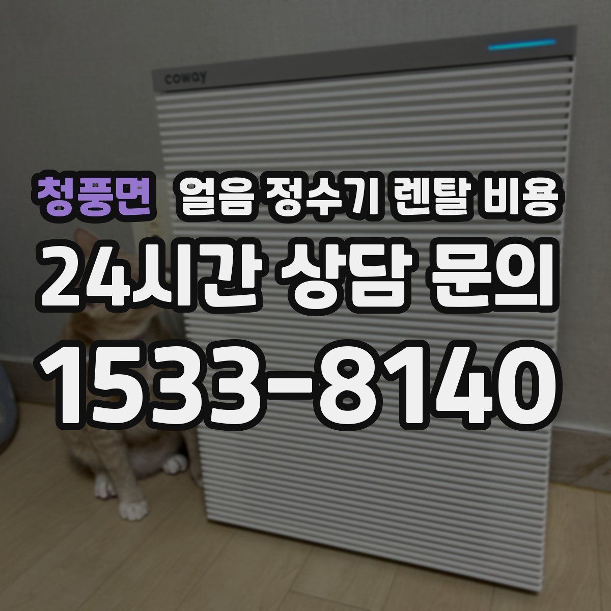 청풍면 얼음 정수기 렌탈 비용 필터 성능만으로 판단하면 안 되는 이유